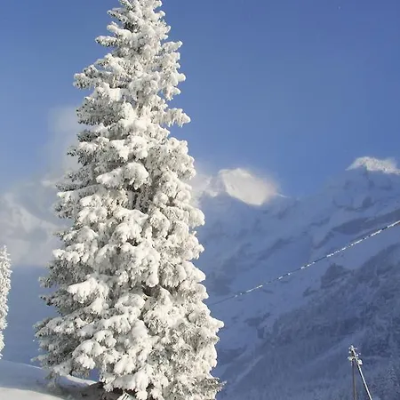Alpenruh Fogadó 2*