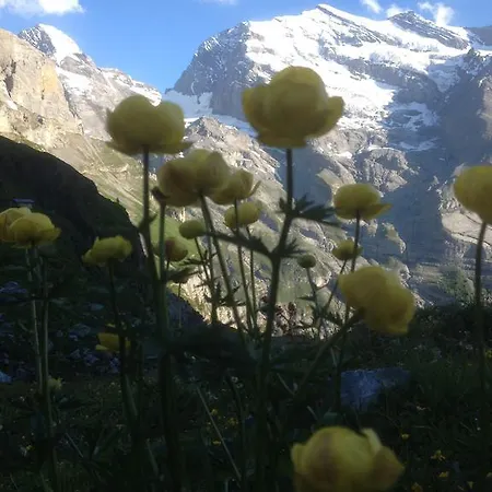 Alpenruh 2* Kandergrund