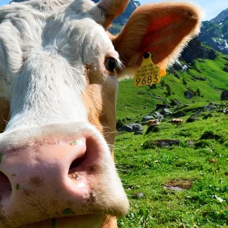 Alpenruh Fogadó 2*