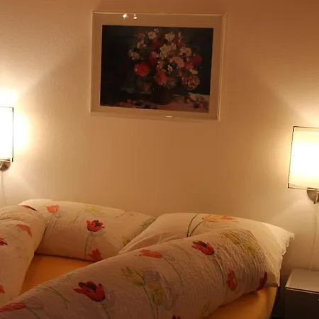 Mini-hôtel Alpenruh